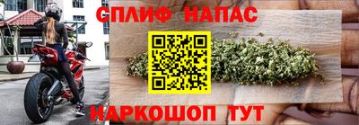 стаф Кулебаки