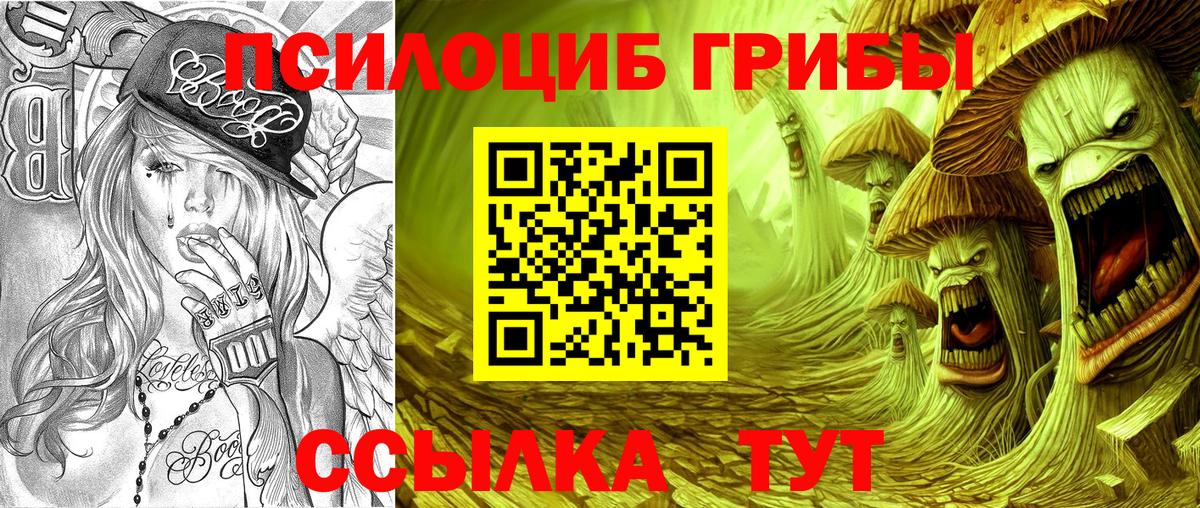где продают   Вход с VPN  Ейск  Псилоцибиновые грибы Psilocybe 